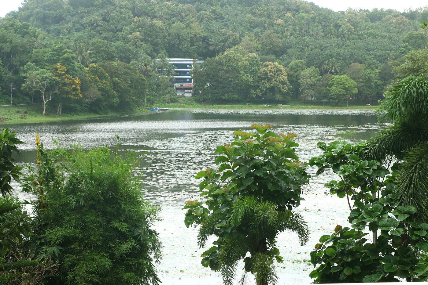 Poomala Dam and forested hills seen from The Shore Wellness